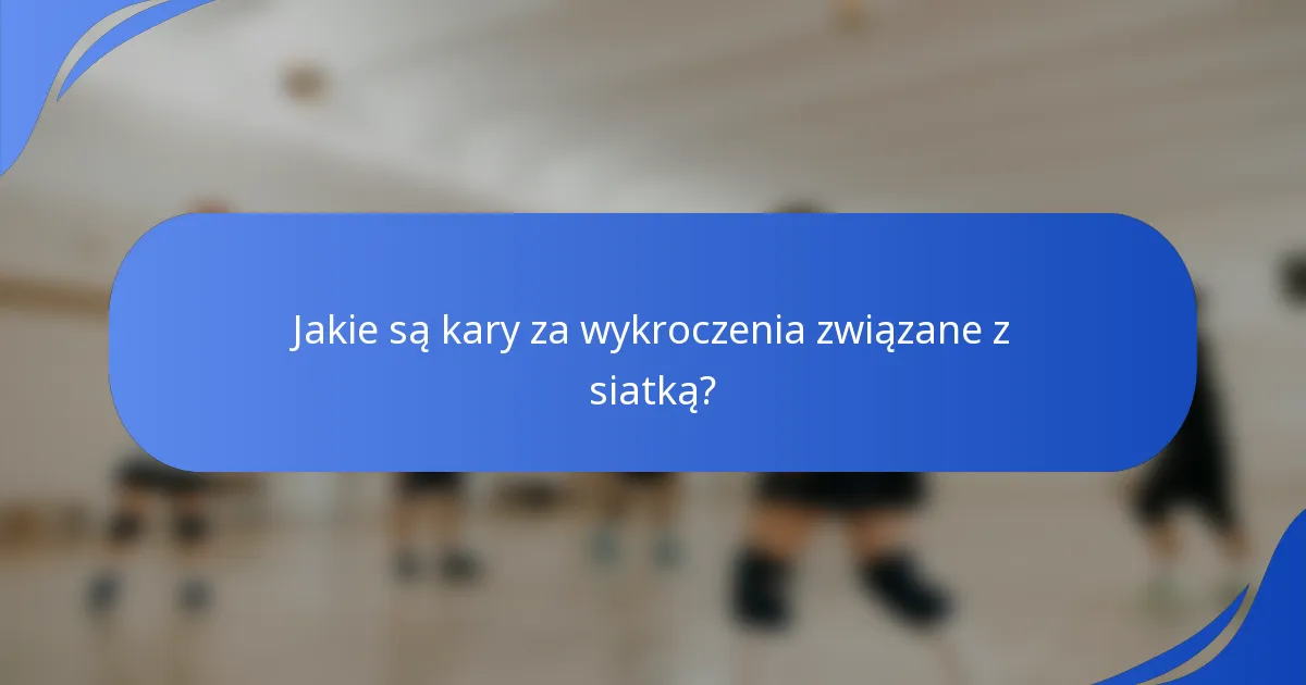 Jakie są kary za wykroczenia związane z siatką?